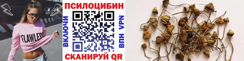 Псилоцибиновые грибы Psilocybe гидра ССЫЛКА Карабаш